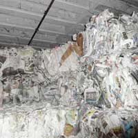 Newspaper Scrap - 05