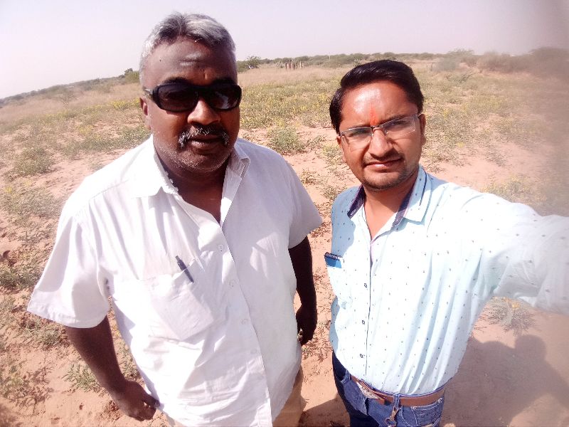 Field Survey Service 02