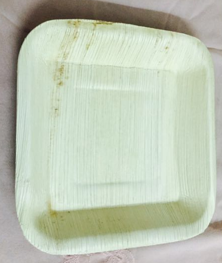 Areca Leaf Plate 05