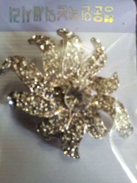 Imitation Brooch 05