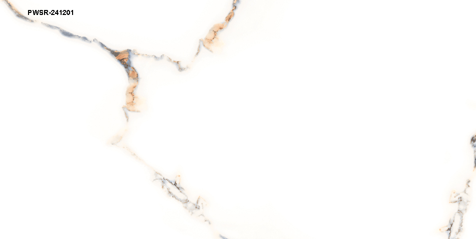 Design No. PWSR-241201