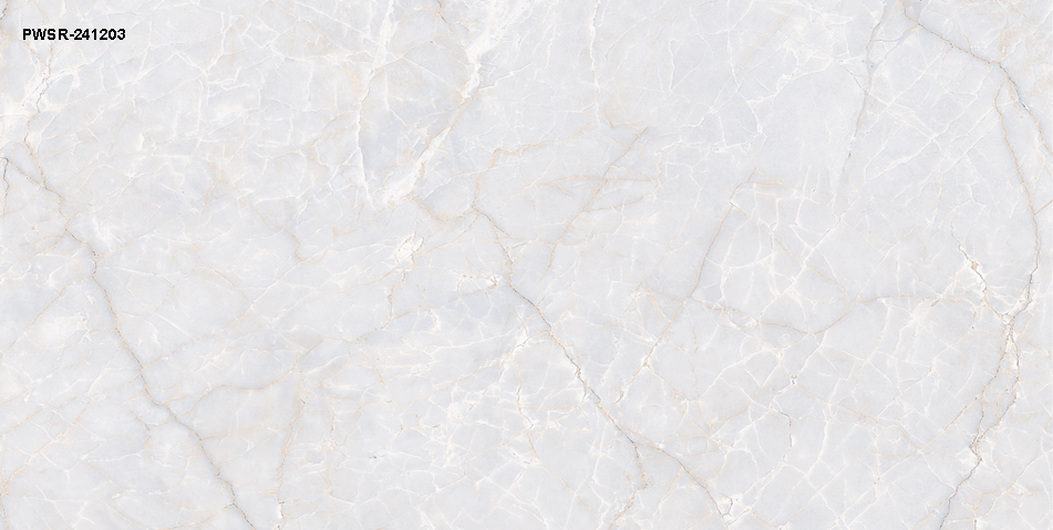 Design No. PWSR-241203