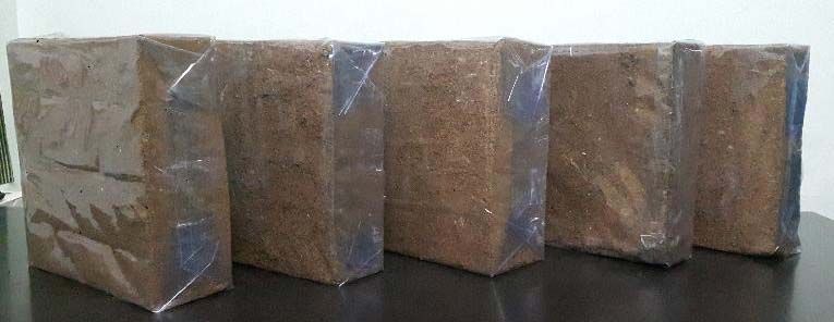 Coco Peat