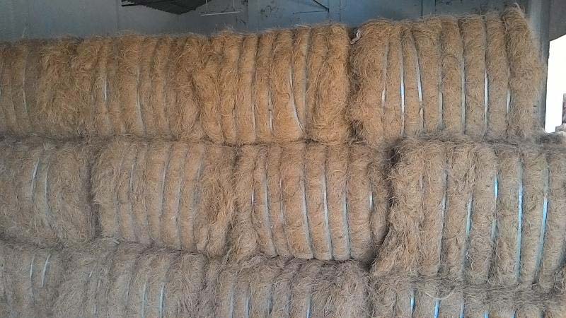 Coir Fibre 01
