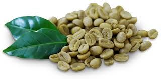 Green Coffee Beans 01