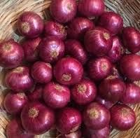Fresh Red Onion 03