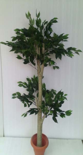 Ficus TreeThick Fibre Trunk - 6 ft
