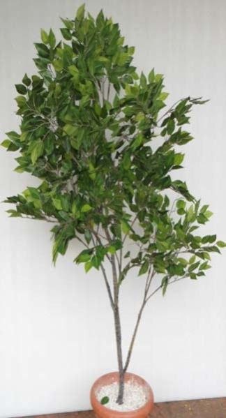 Ficus Fibre Trunk 5ft