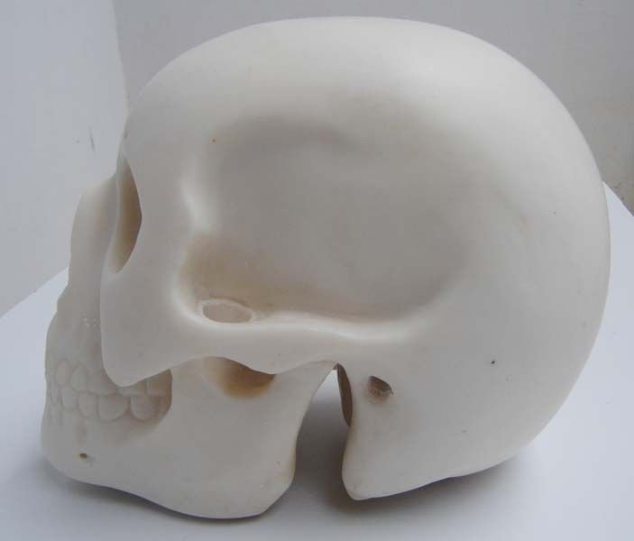 White Marble Skull 02
