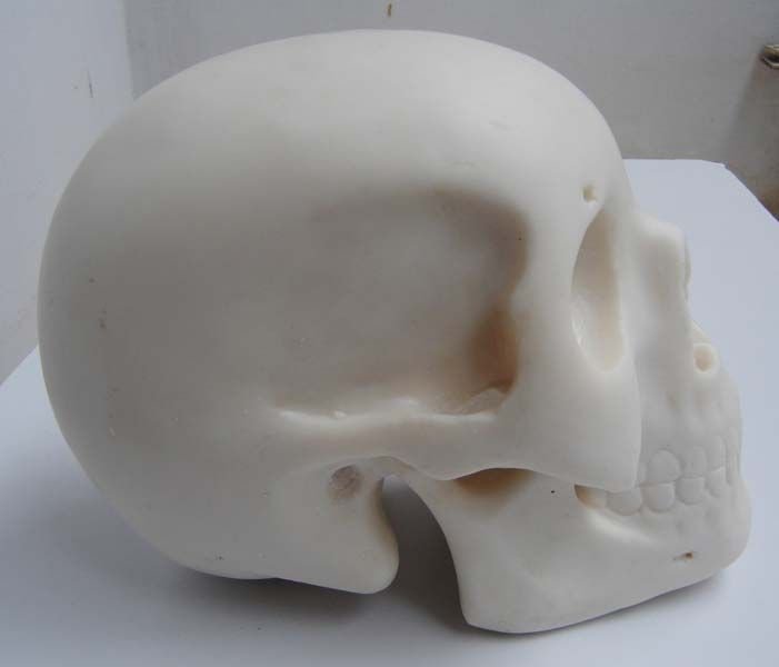 White Marble Skull 03