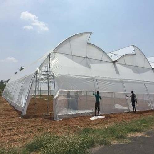 High Tunnel Polyhouse 01