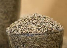 Cumin Seeds