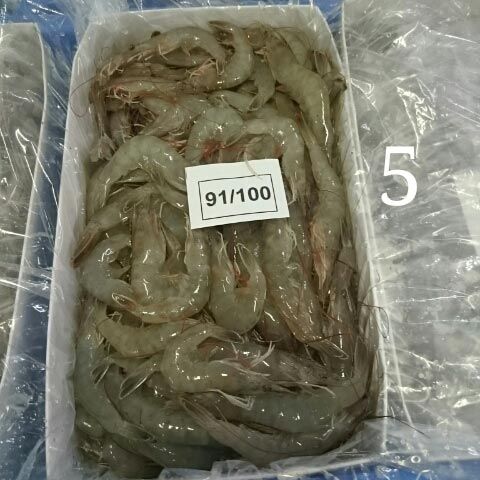 Item Code : DSC_0516