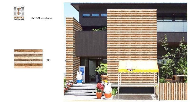 300 X 450 Glossy Elevation Series Tiles 05
