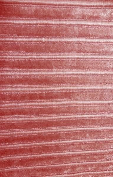 Handloom Rugs (MA-BL05 P)