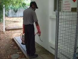 Mosquito Treatment in Home