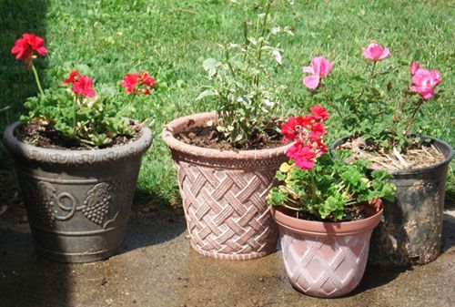 Terrace Garden Designing 01