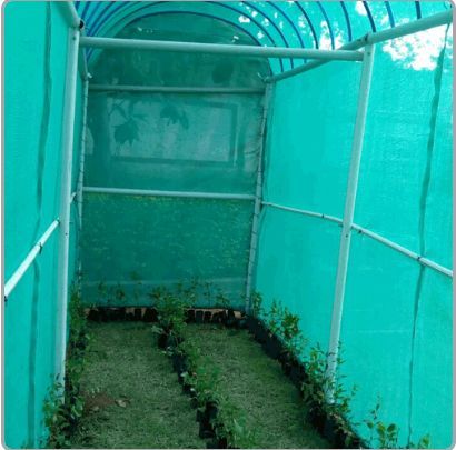 Greenhouse Tunnel 01
