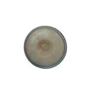 PVDF Back Plate