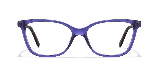 Mens Optical Frame 02