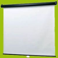 Wall and Ceiling Projection Screen