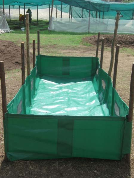 Vermicompost Bed 02