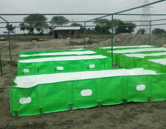 Vermicompost Bed 05
