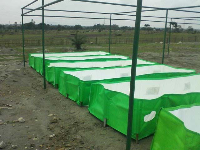 Vermicompost Bed 07