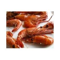 Shrimps