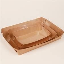 Disposable Food Tray 03