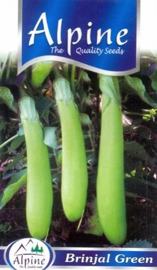 F1 Brinjal Seeds