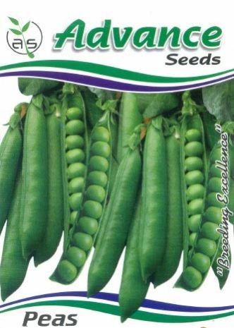 OP Green Peas Seeds
