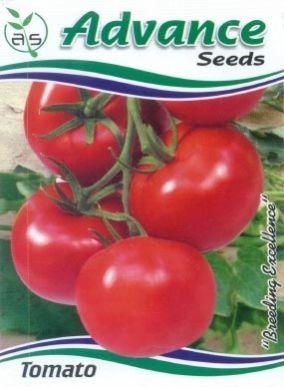  OP Tomato Seeds