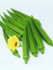 Sandhya Okra Seeds