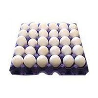 Poultry Eggs (01)