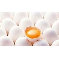 Poultry Eggs (02)