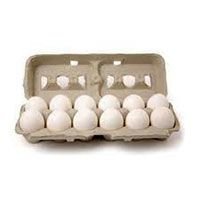 Poultry Eggs (03)