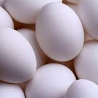 Poultry Eggs (05)