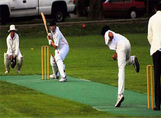 Synthetic Cricket Pitch