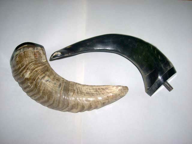 Horn and Bone Door Handle 09
