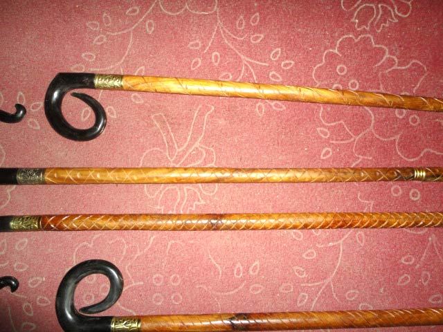 Horn and Bone Walking Stick 03