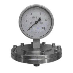 P Series Diaphragm Pressure Gauge