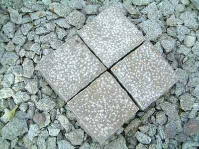 Cobbles Dressed in Manga