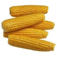 Yellow Maize 01