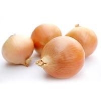 Onions