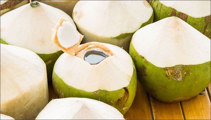 Fresh Coconut 01