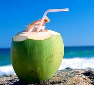 Fresh Coconut 04