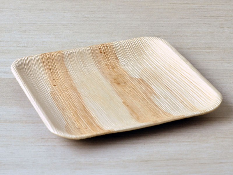 Areca Palm Leaf Square Plate 02