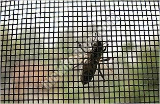 Mosquito Proof Screen 01