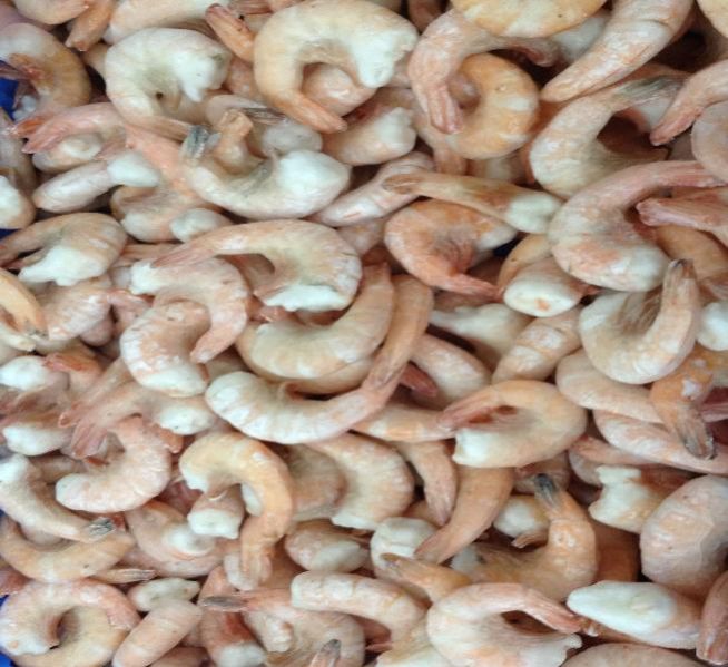 Frozen Seafood 05